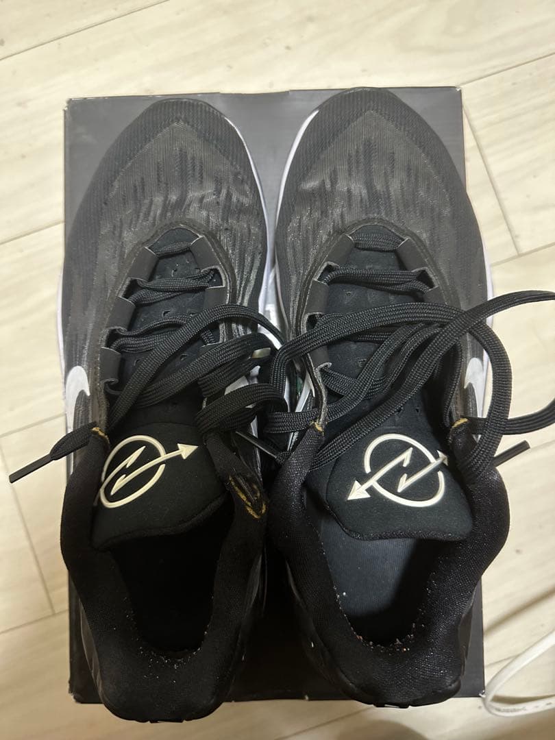 シューズ(男性用) NIKE AIR ZOOM G.T. CUT 2 EP 28cm