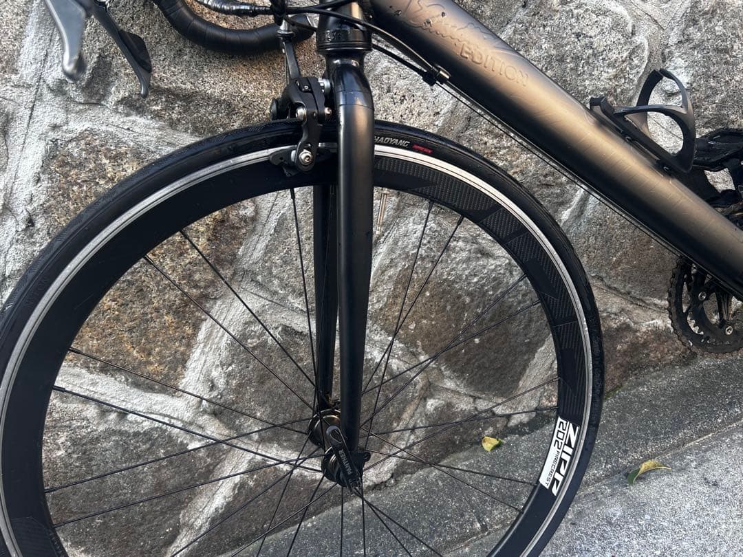 自転車本体 Panther 3.0 (custom wrapped)