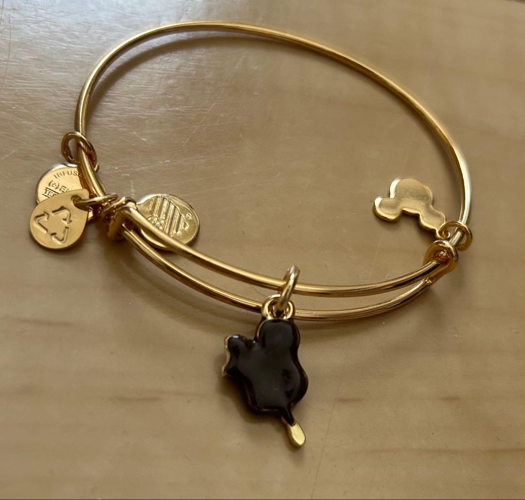 ディズニー　パーク　alex and ani アイス　ミッキー　パークフード