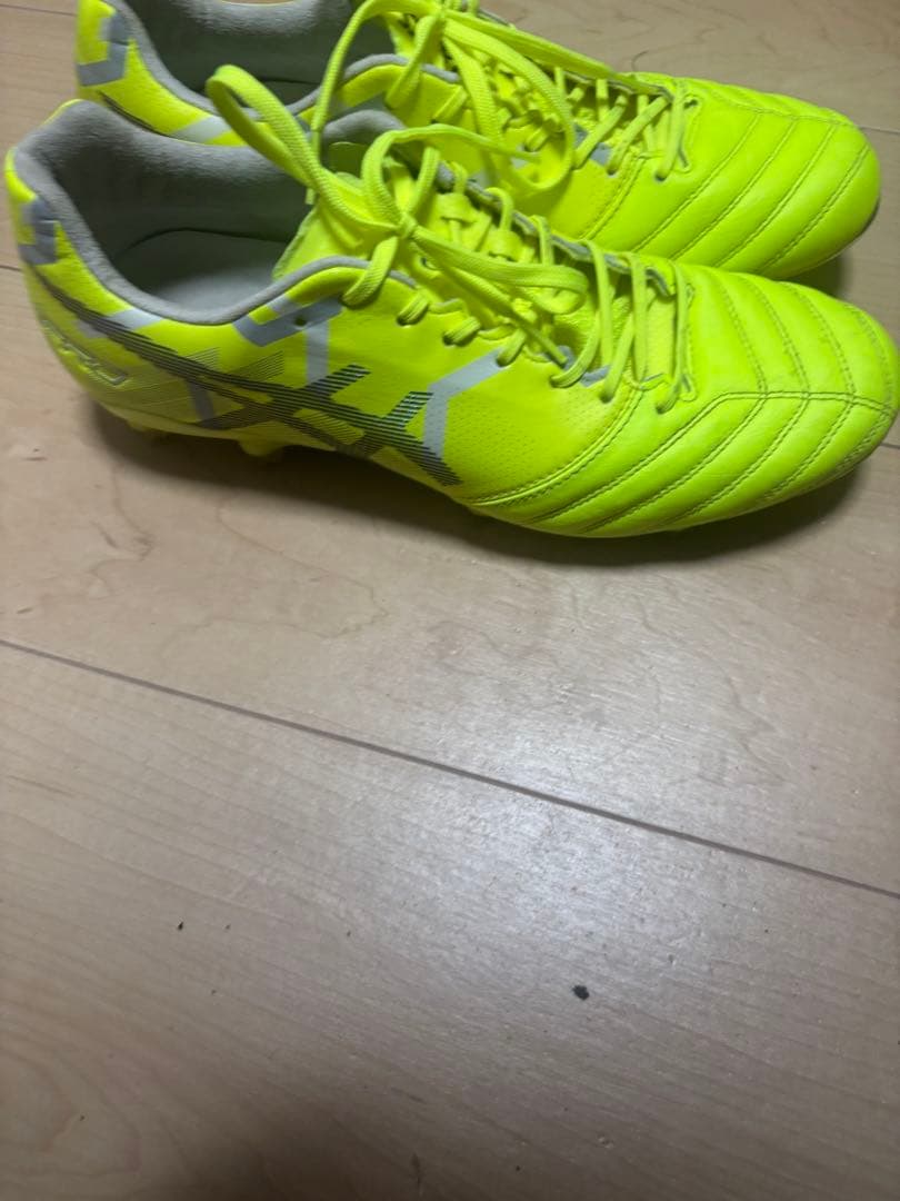 アシックス DS LIGHT X-FLY PRO L.E. 限定モデル　27cm