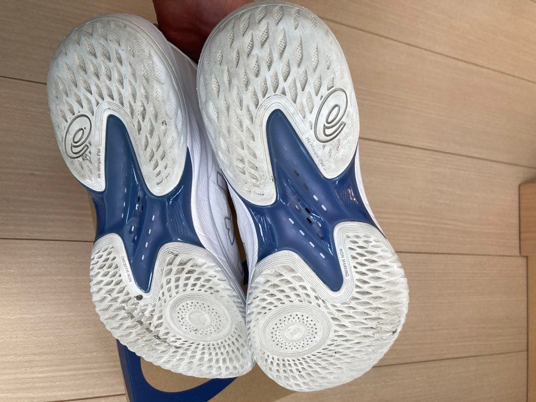 asics GELHOOP V17 バスケットボールシューズ 24.5cm