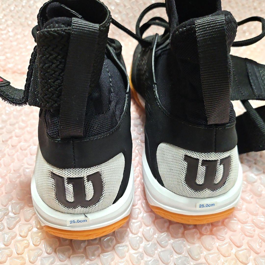 Wilson バドミントンシューズ 25.0cm VERTEXAMPLIFEEL