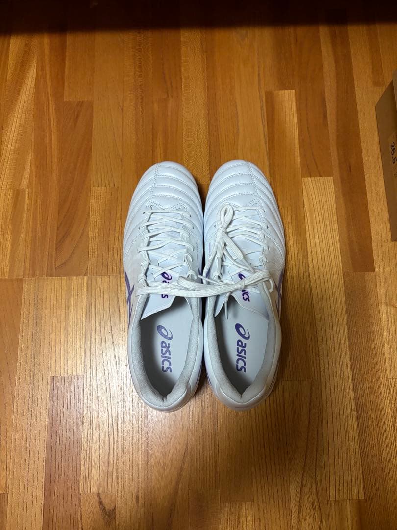 【けんじ】 DS LIGHT X-FLY PRO 2
