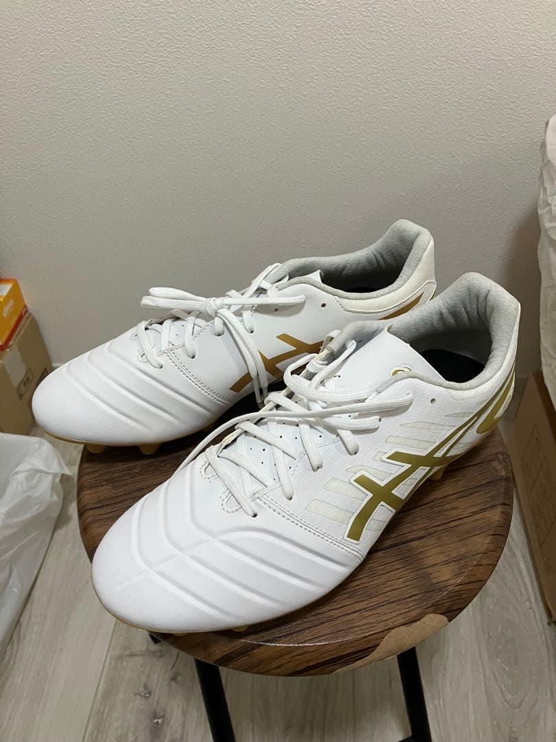 新品未使用　アシックス メンズ asics DS LIGHT 27.5cm