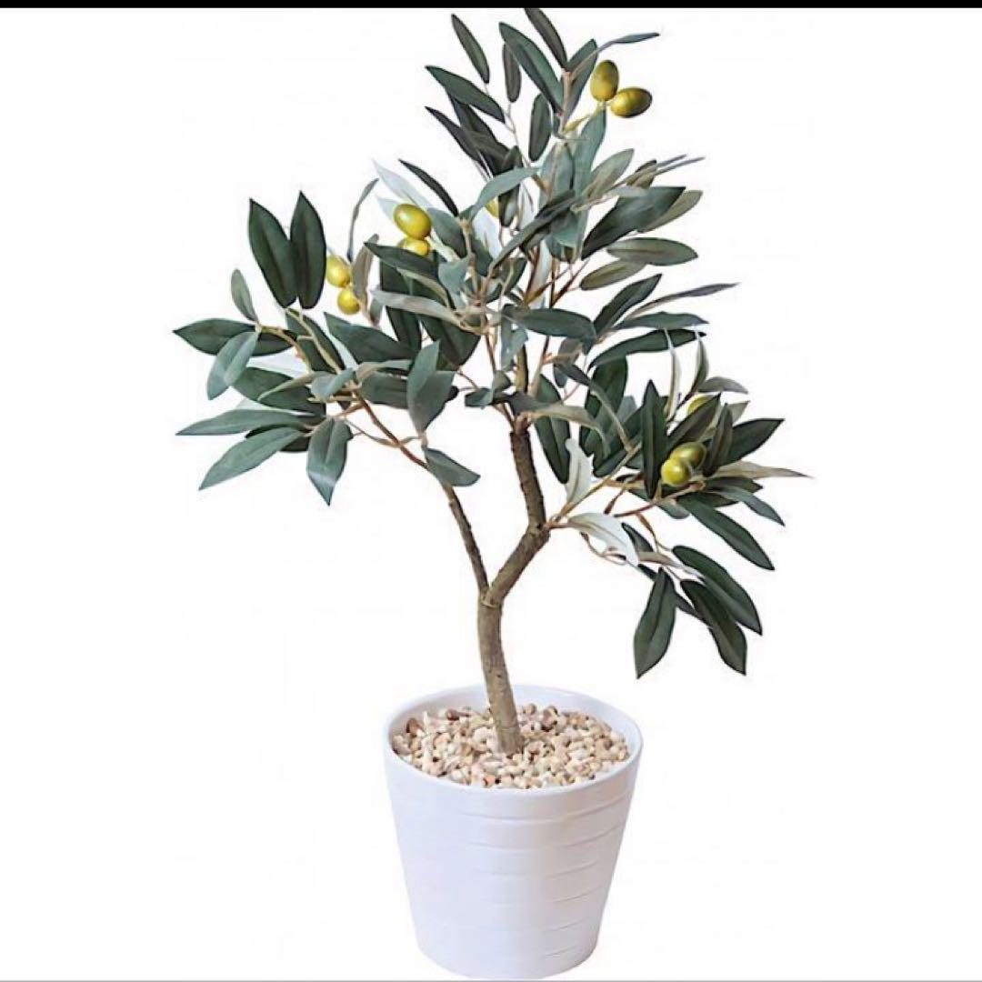 光触媒　人工観葉植物　ウォールグリーン　フェイクグリーン　オリーブ57