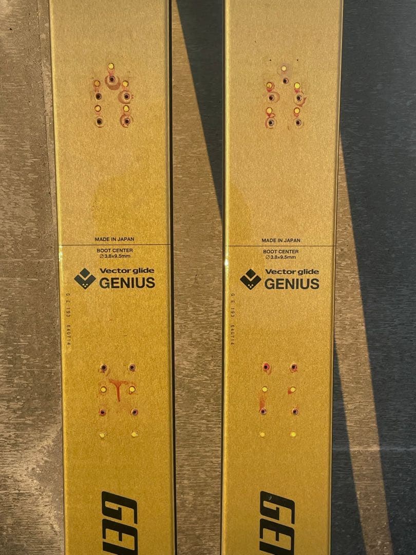 スキー VECTOR GLIDE GENIUS 193 cm