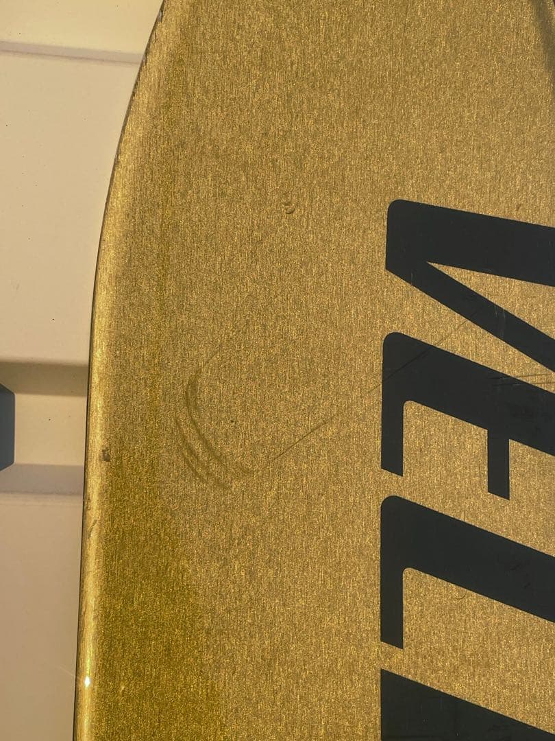 スキー VECTOR GLIDE GENIUS 193 cm