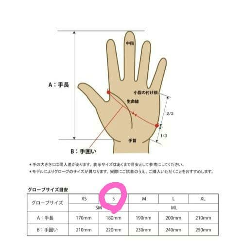 eb's エビス LOBSTER GORE-TEX ミトングローブ キャメル S