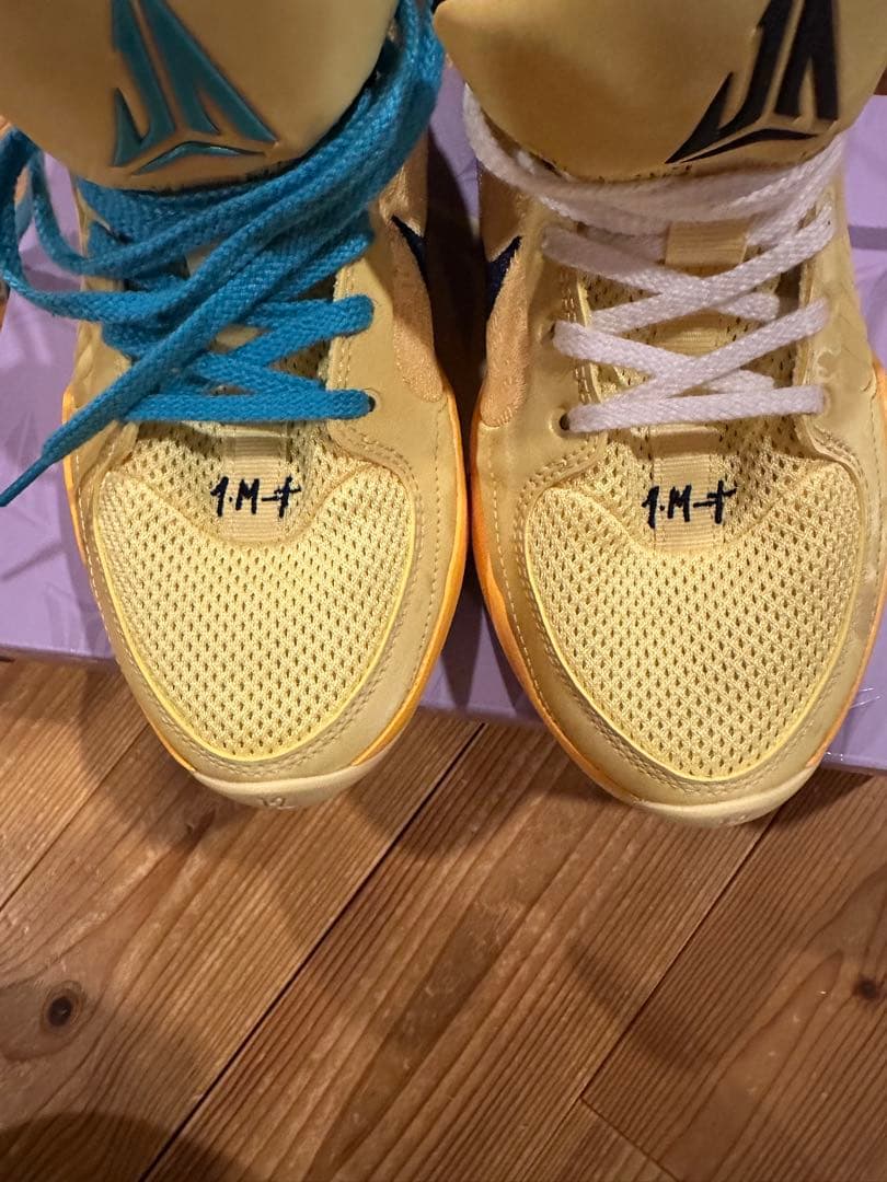 シューズ(男性用) NIKE JA2