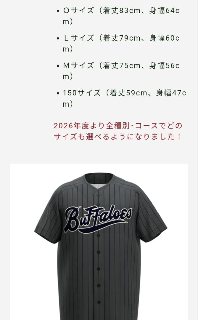 オリックスバファローズエクストラプレミアム特典4点セット&開幕シリーズタオル2枚