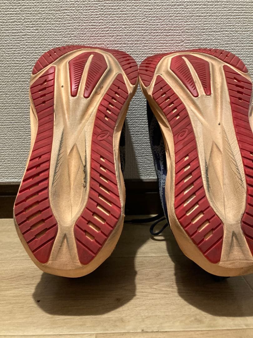 asicsアシックス　NOVABLAST5ノヴァブラスト5 ワイド 27.0cm