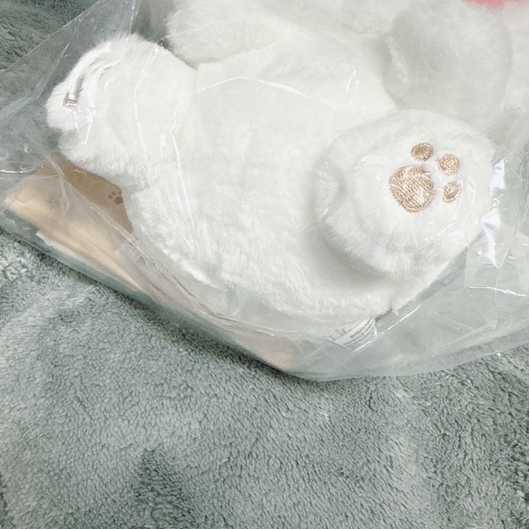 zeroni ハニニ