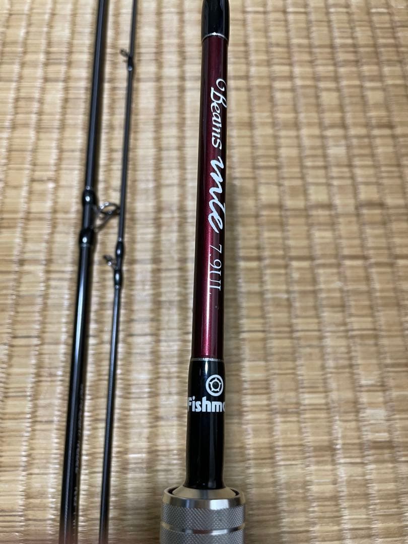 フィッシュマン beams inte7.9ul