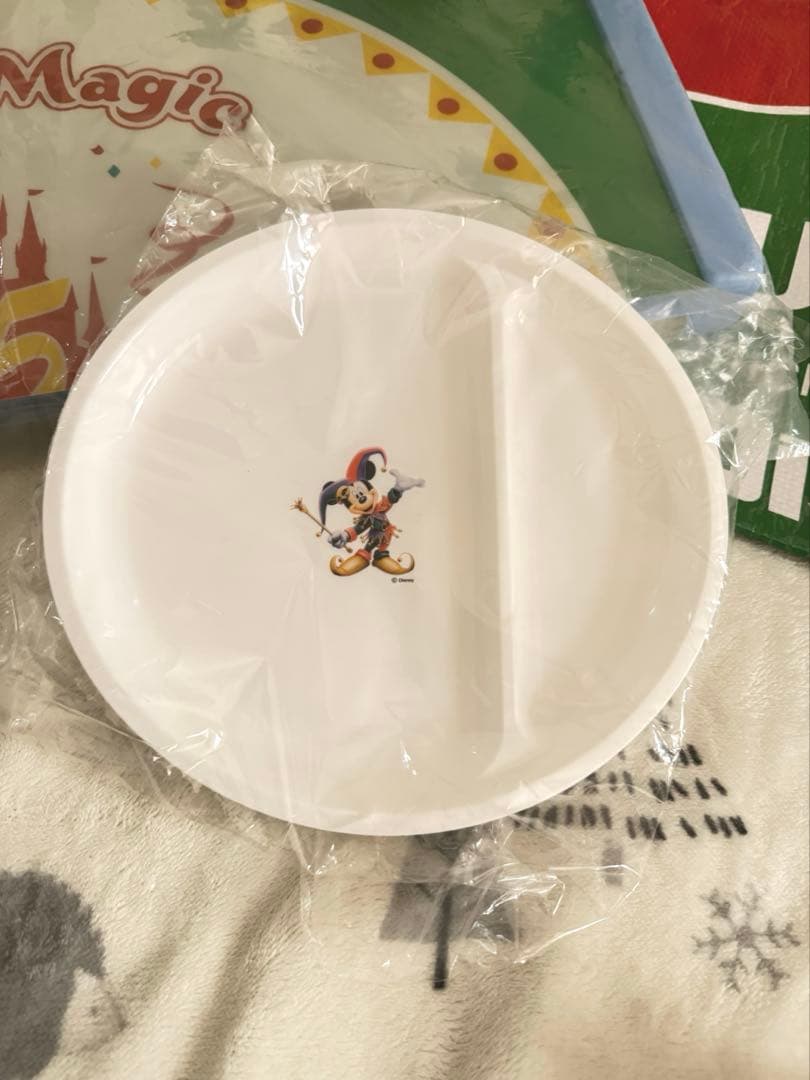 フジフィルム 東京ディズニーランド15周年 懸賞当選品　アウトドア　キャンプ