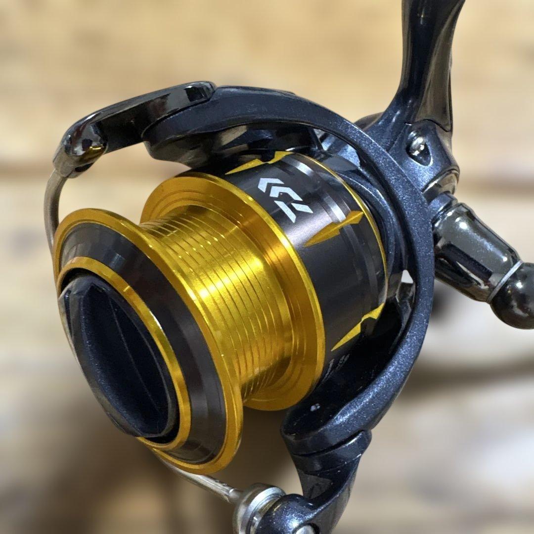 15 ダイワ　フリームス 2508 Daiwa FREAMS スピニング　バス
