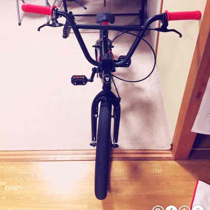自転車本体 BMX PREMIUM SOLO RED