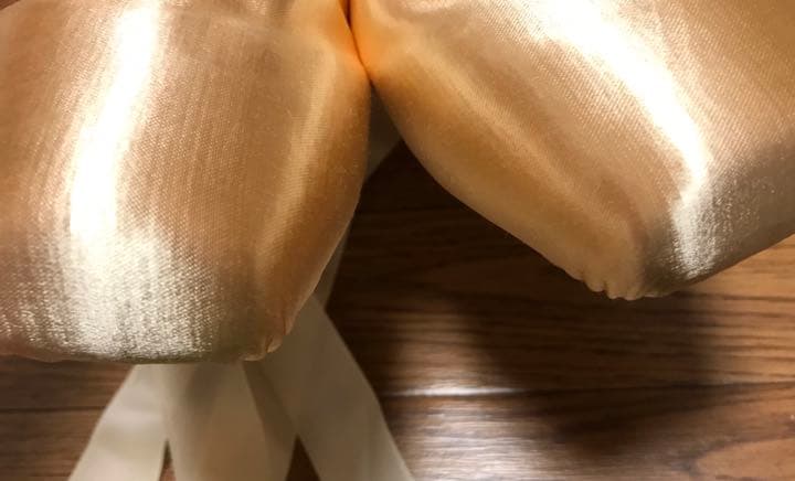 Chacott チャコット トウシューズ Swan スワン ゴム付