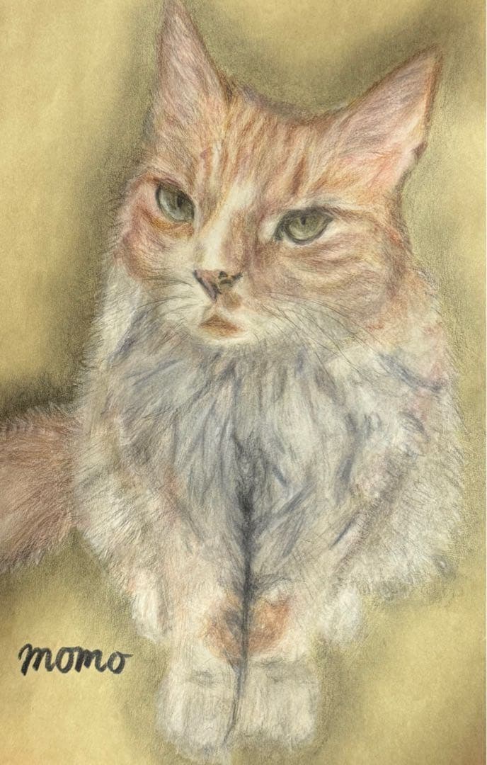 猫の絵