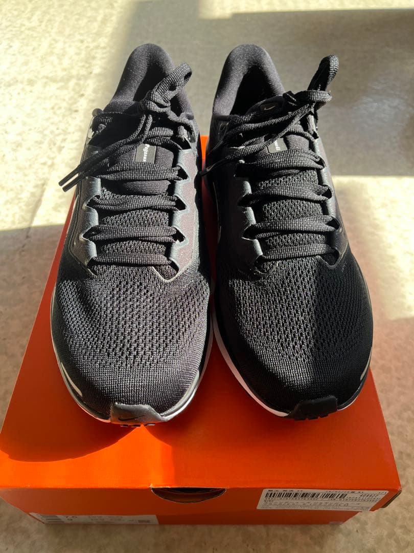 【美品】NIKEペガサス41 ブラック　25.5 cm