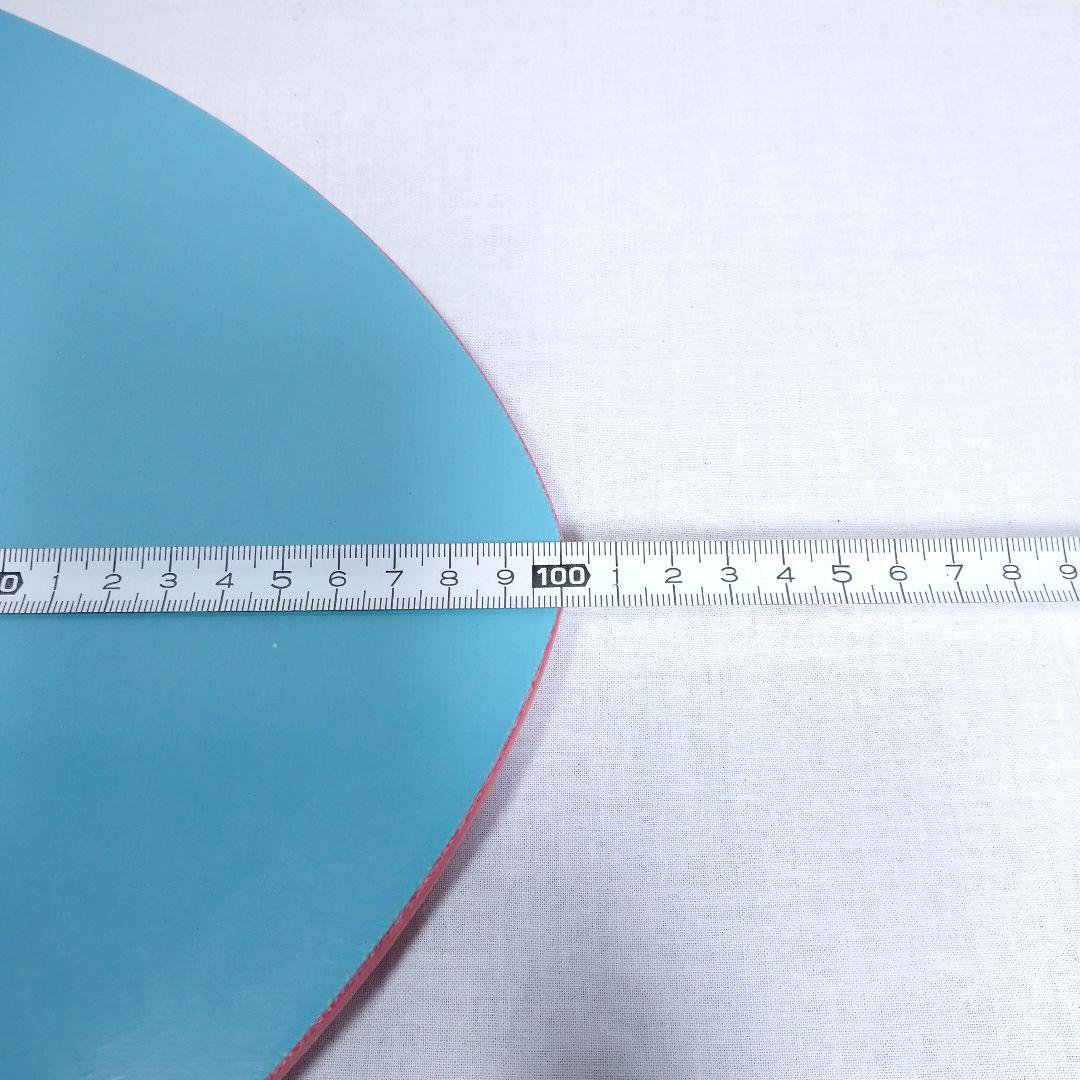 サンチャイルド スキムボード 福岡 グッドウェーブ 100cm ニットケース付