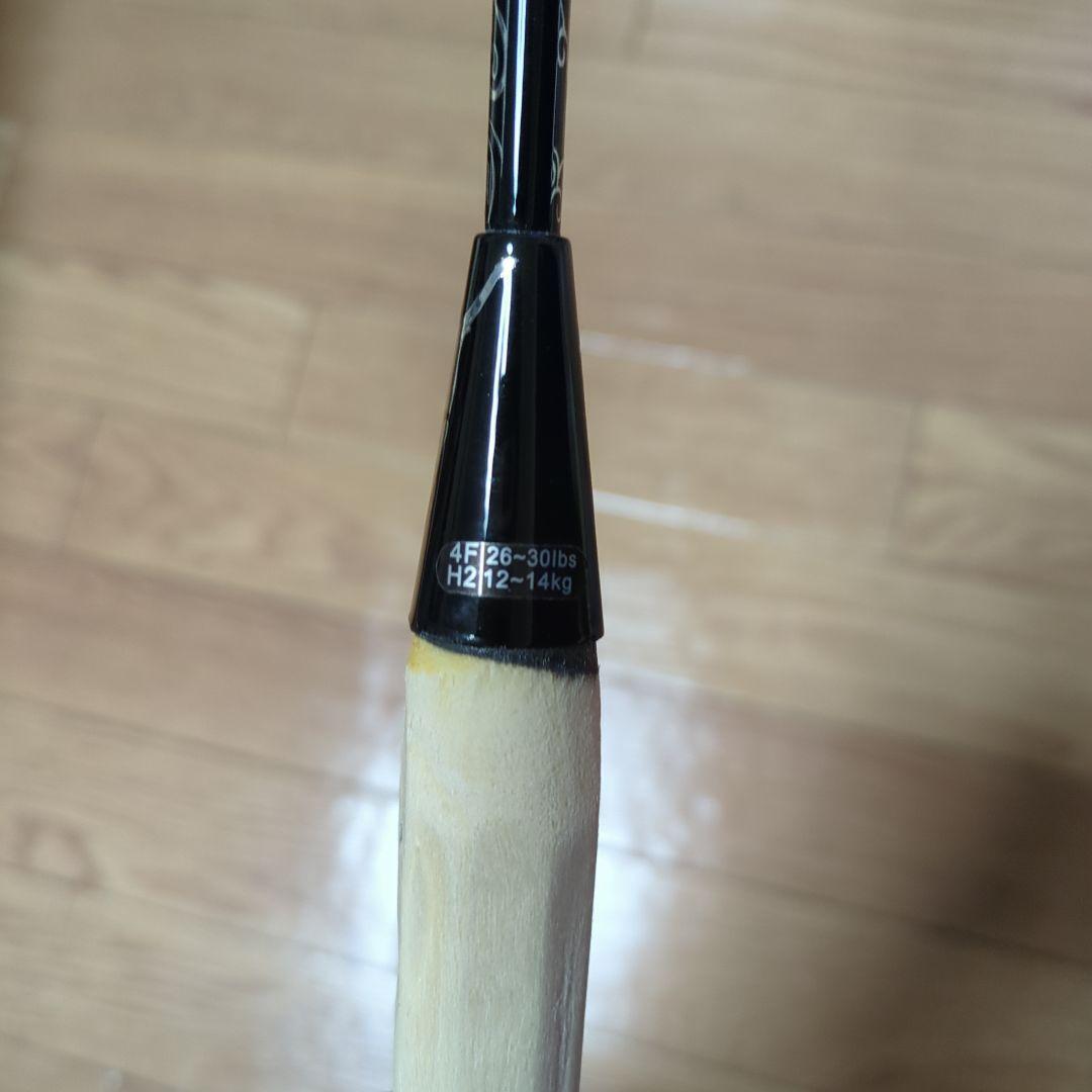 Flypower ヌサンタラ2.3