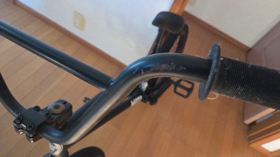バルミューダ BMX ダーカスワン