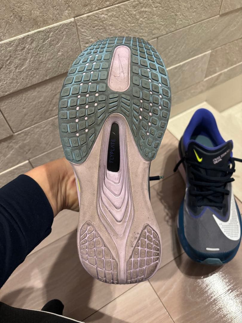 Nike ズームフライ6 27.0㎝