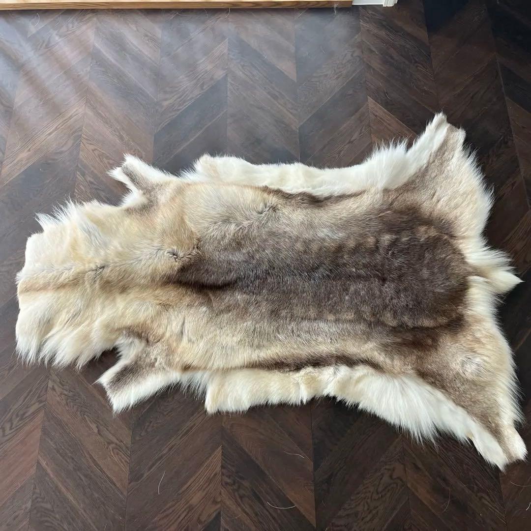 DALUM REINDEER FUR L ダーラム トナカイファー L 展示品