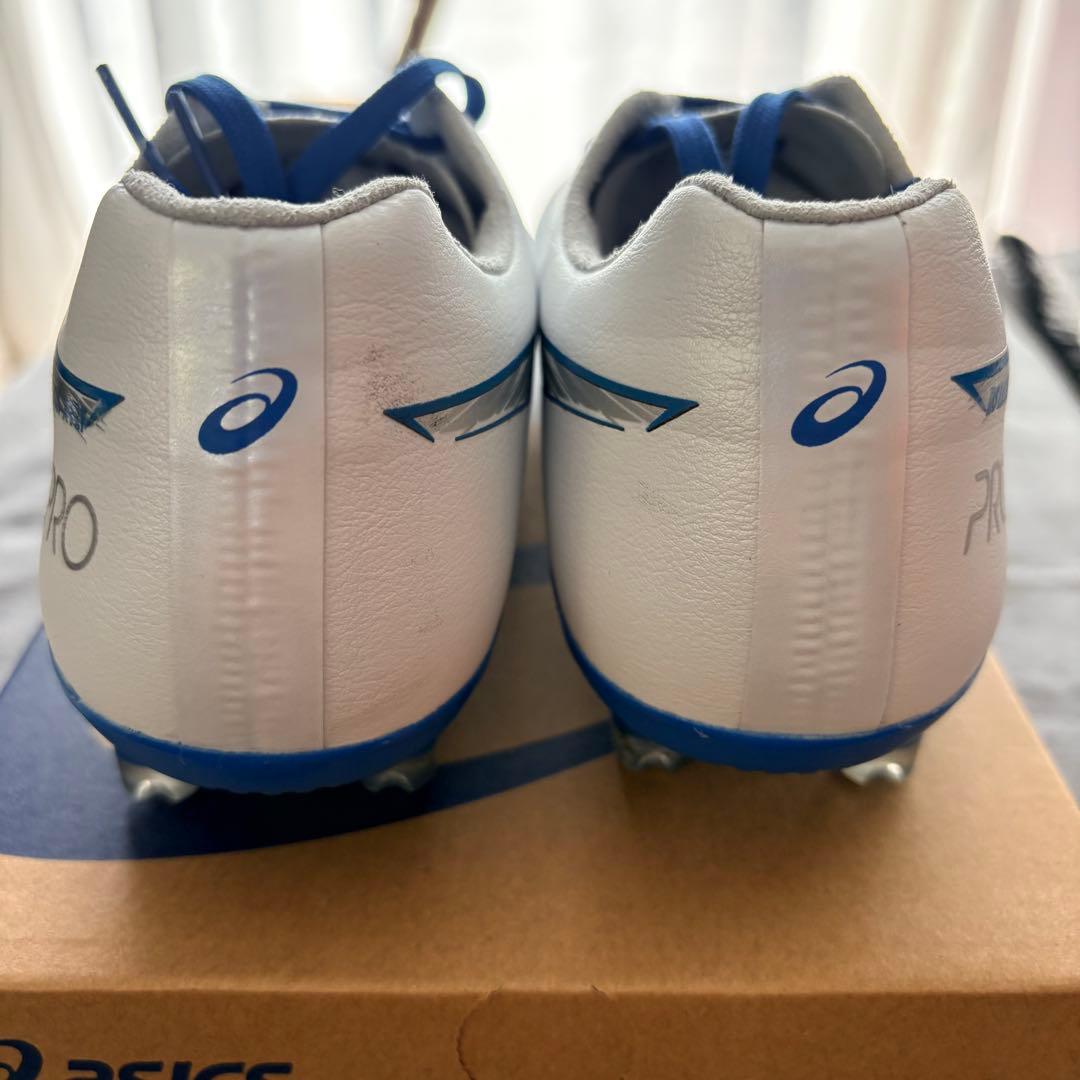 アシックス DS LIGHT X-FLY PRO 3（25.0㎝）