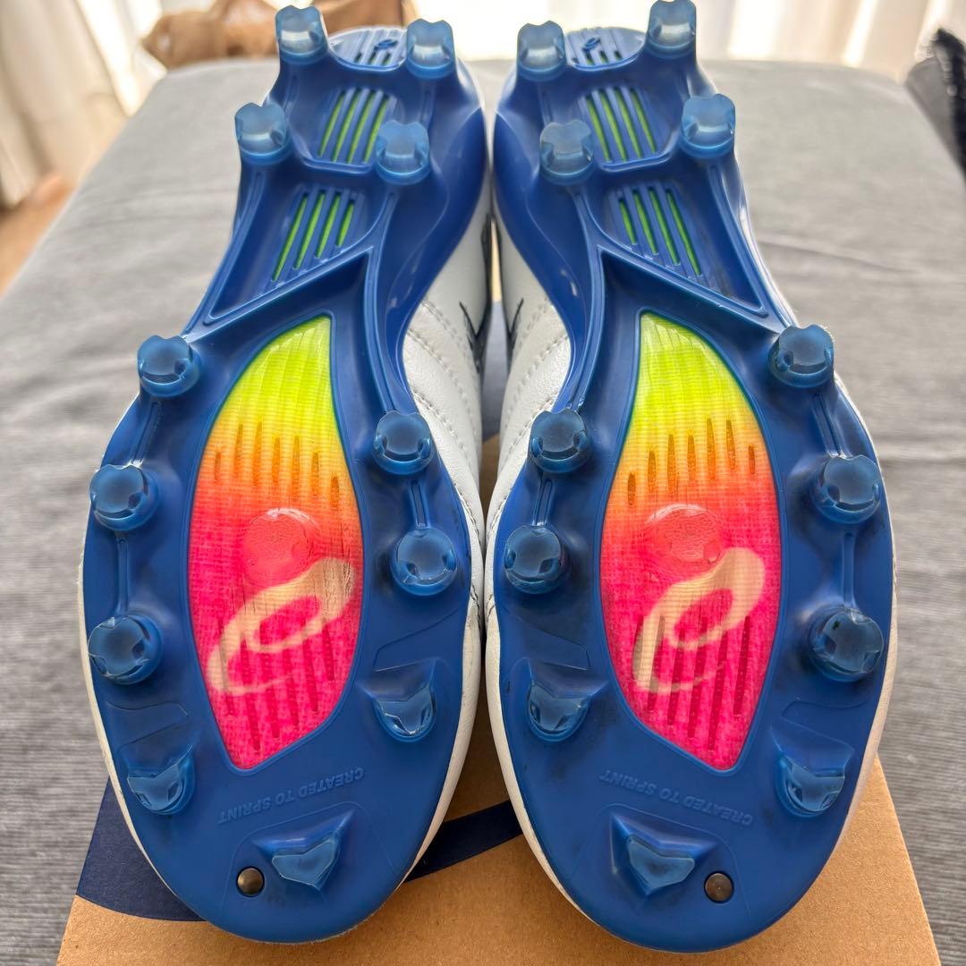アシックス DS LIGHT X-FLY PRO 3（25.0㎝）