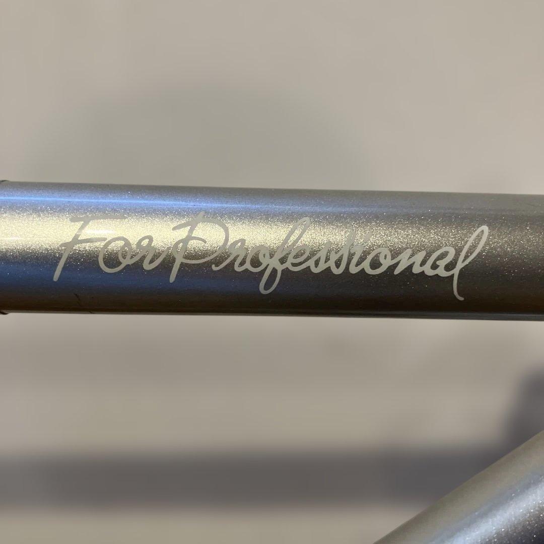 LEVEL njs 競輪フレーム