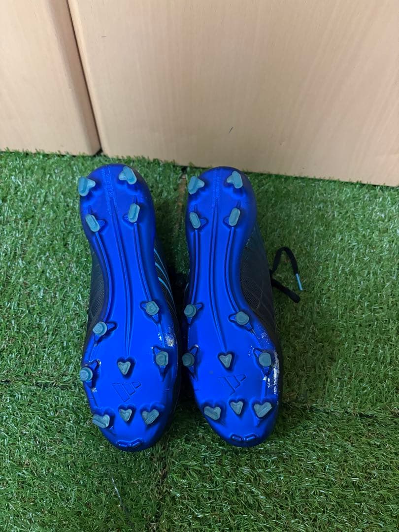 F50 エリート スパイダー FG
