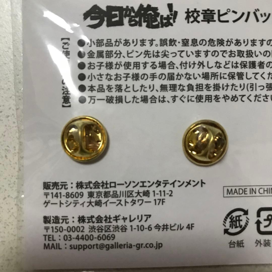今日から俺は！！校章ピンバッジセット