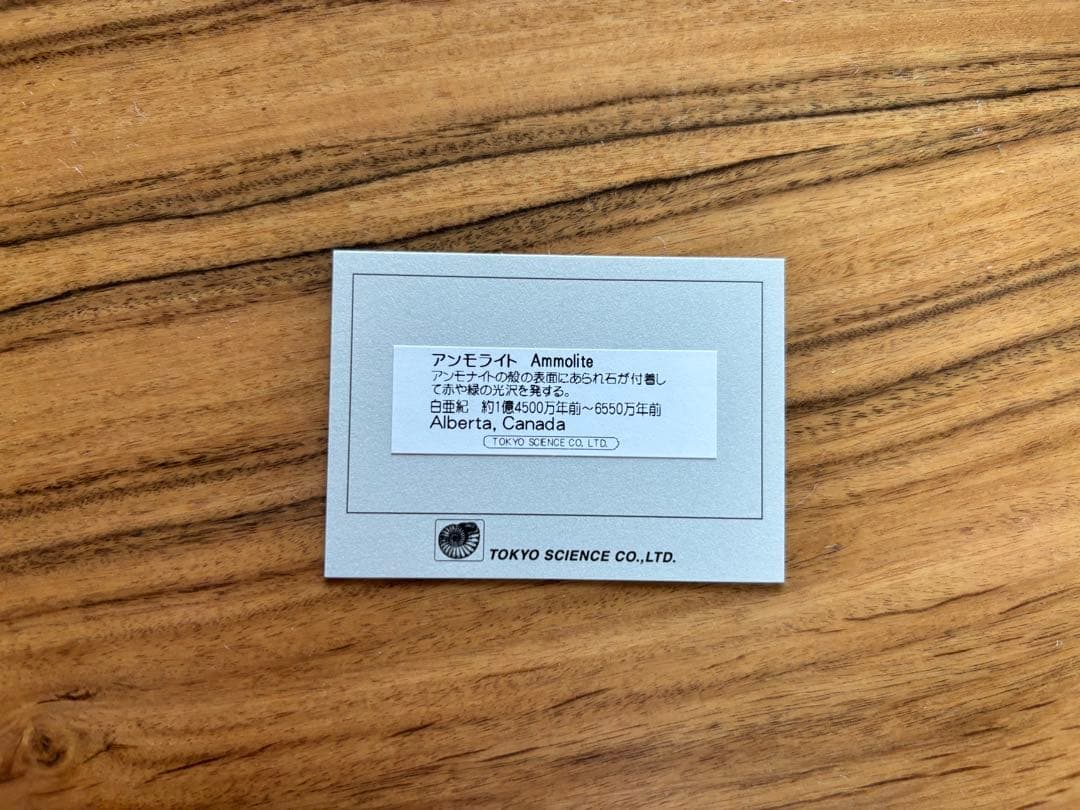 アンモライト カナダ アルバータ産 化石 Ammolite 