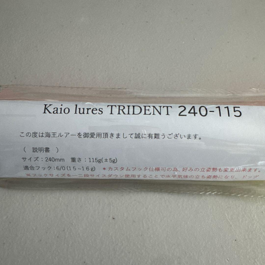 海王ルアー トライデント240-115 TRIDENT240