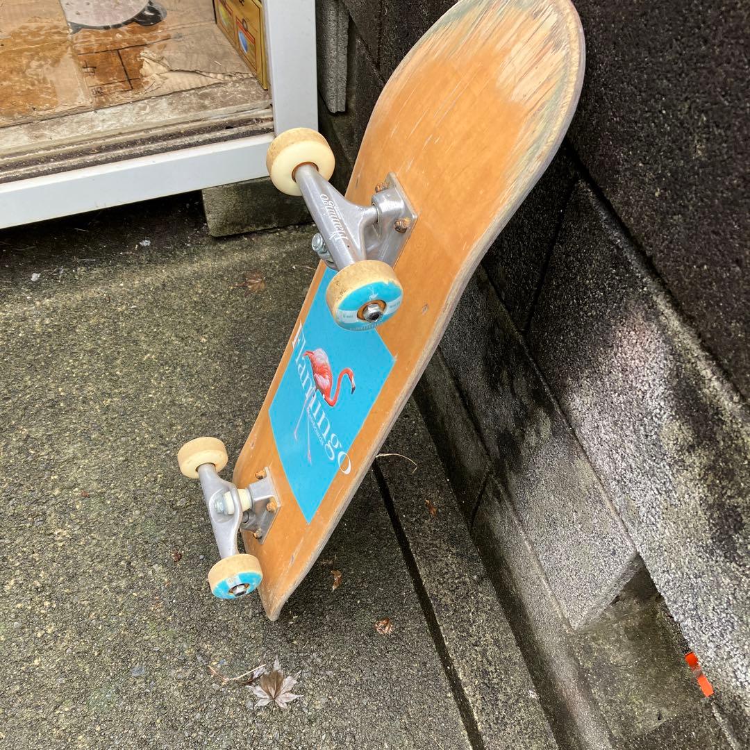 Flamingo スケートボード コンプリート