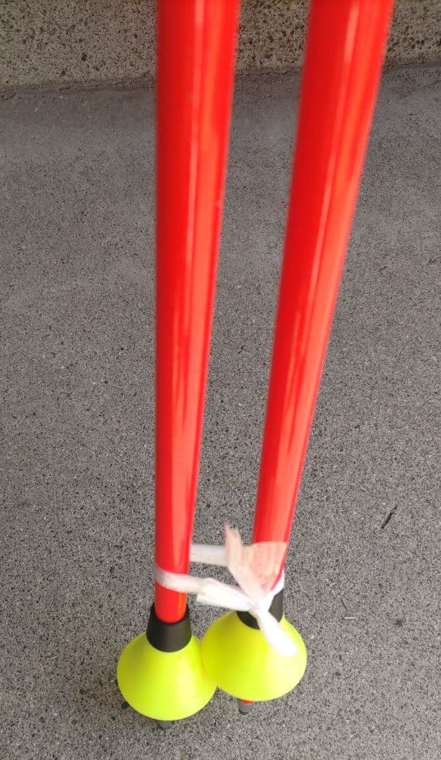 未使用保管品 LEKI WOULDCUP LITE 3D 110cm