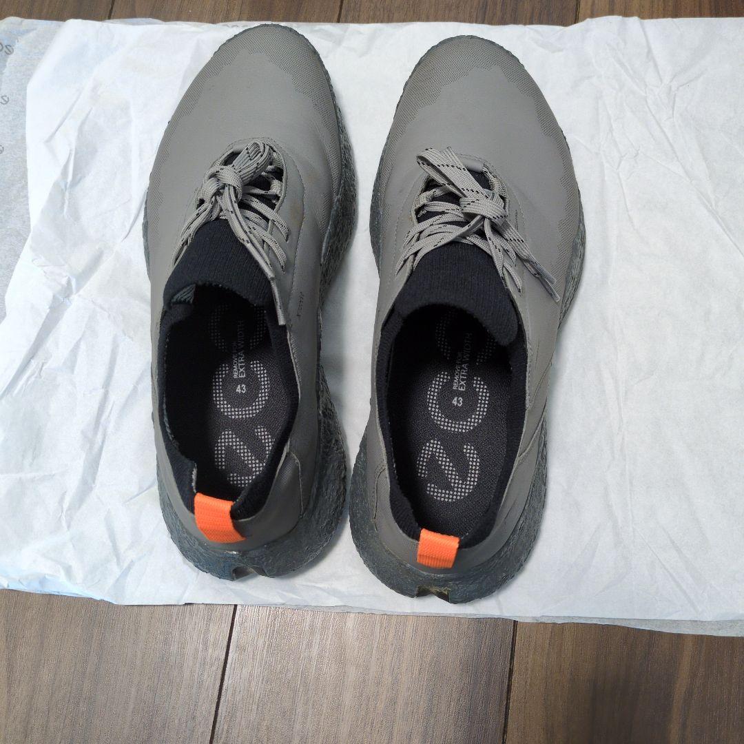 ecco GOLF シューズ 43 グレー
