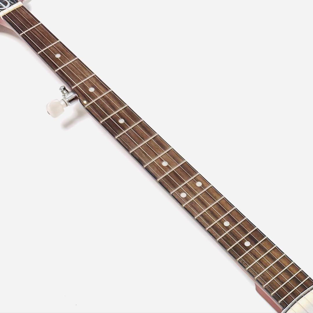 Epiphone MB-100 Banjo エピフォン バンジョー