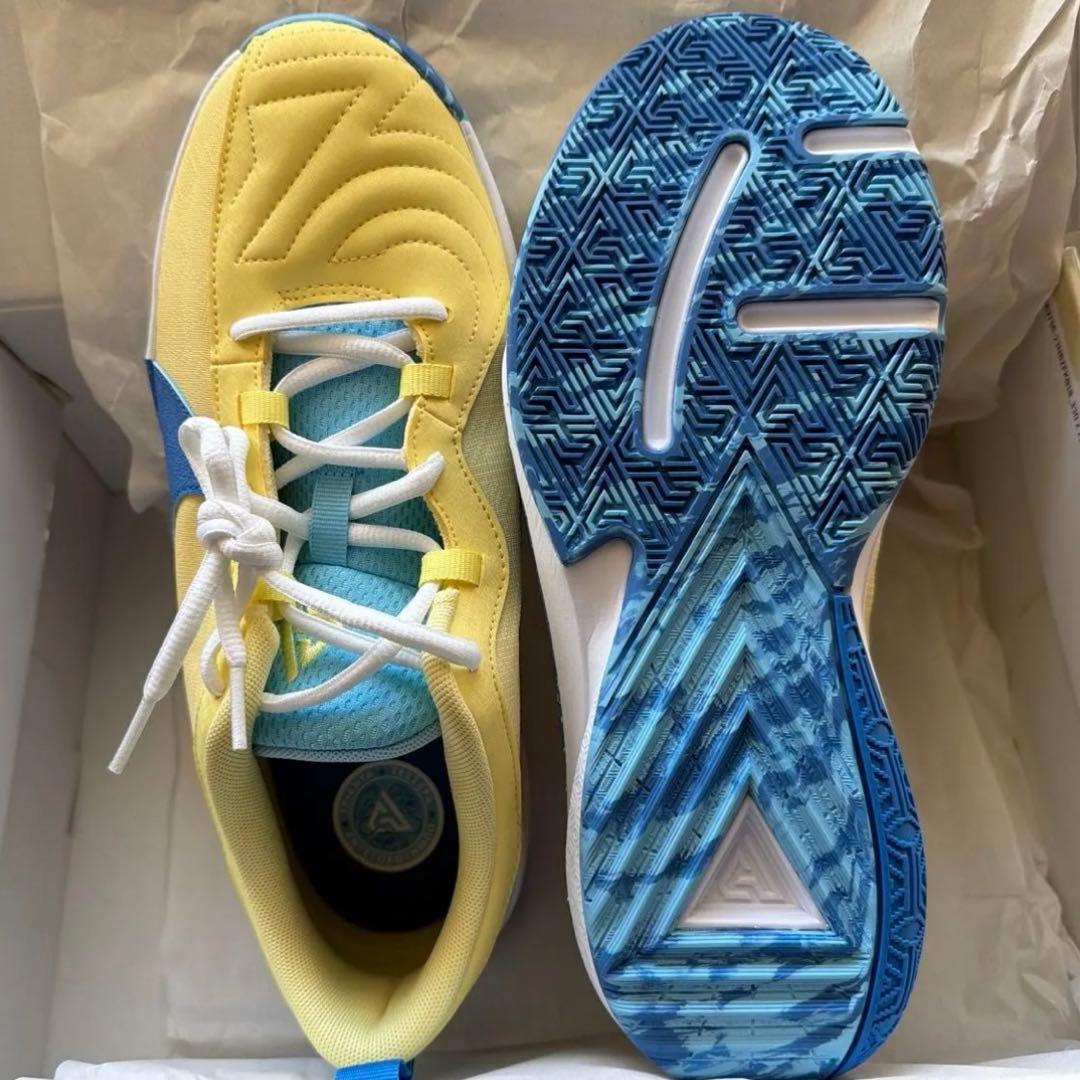 未使用　NIKE フリーク5 バスケシューズ バッシュ25cm ヤニス　ナイキ