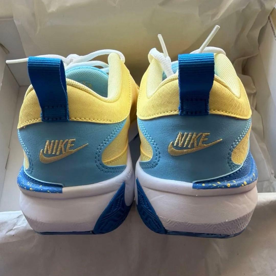 未使用　NIKE フリーク5 バスケシューズ バッシュ25cm ヤニス　ナイキ