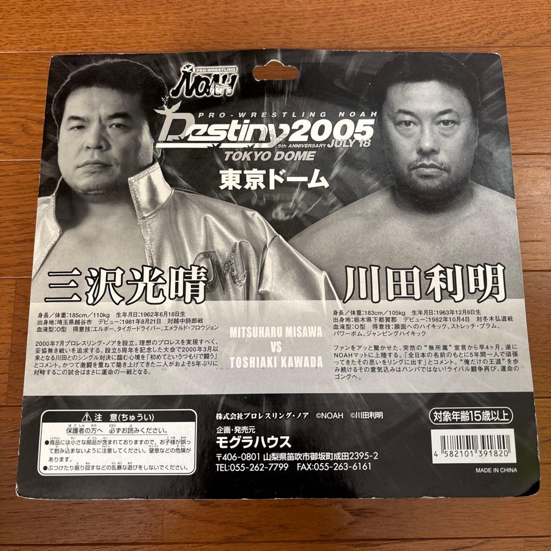 三沢光晴　川田利明　プロレスリングノア　Destiny2005 東京ドーム限定