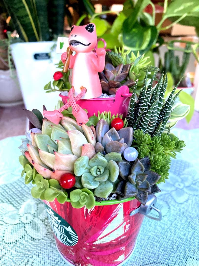 多肉寄せ植え✿カエル✿スタバ✿そのまま飾れます
