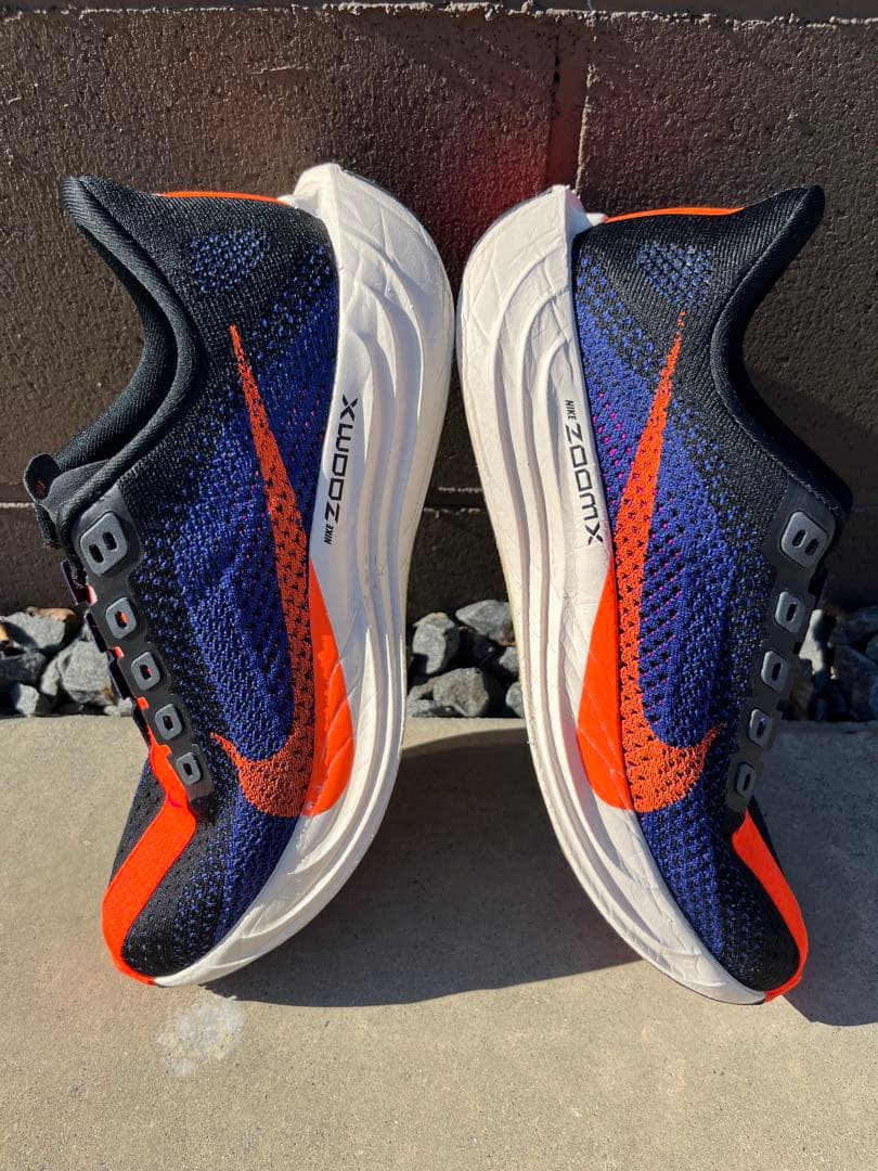 NIKE ペガサスプラス 25.5㎝ MENS メンズ