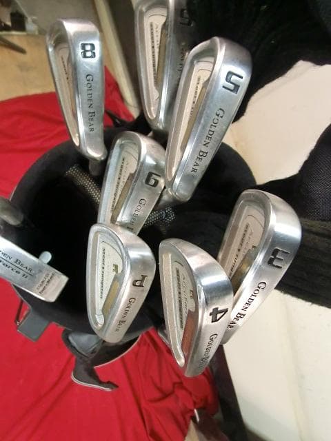252：Golden Bear ～　中古　ジャンク　引取限定：埼玉県所沢市