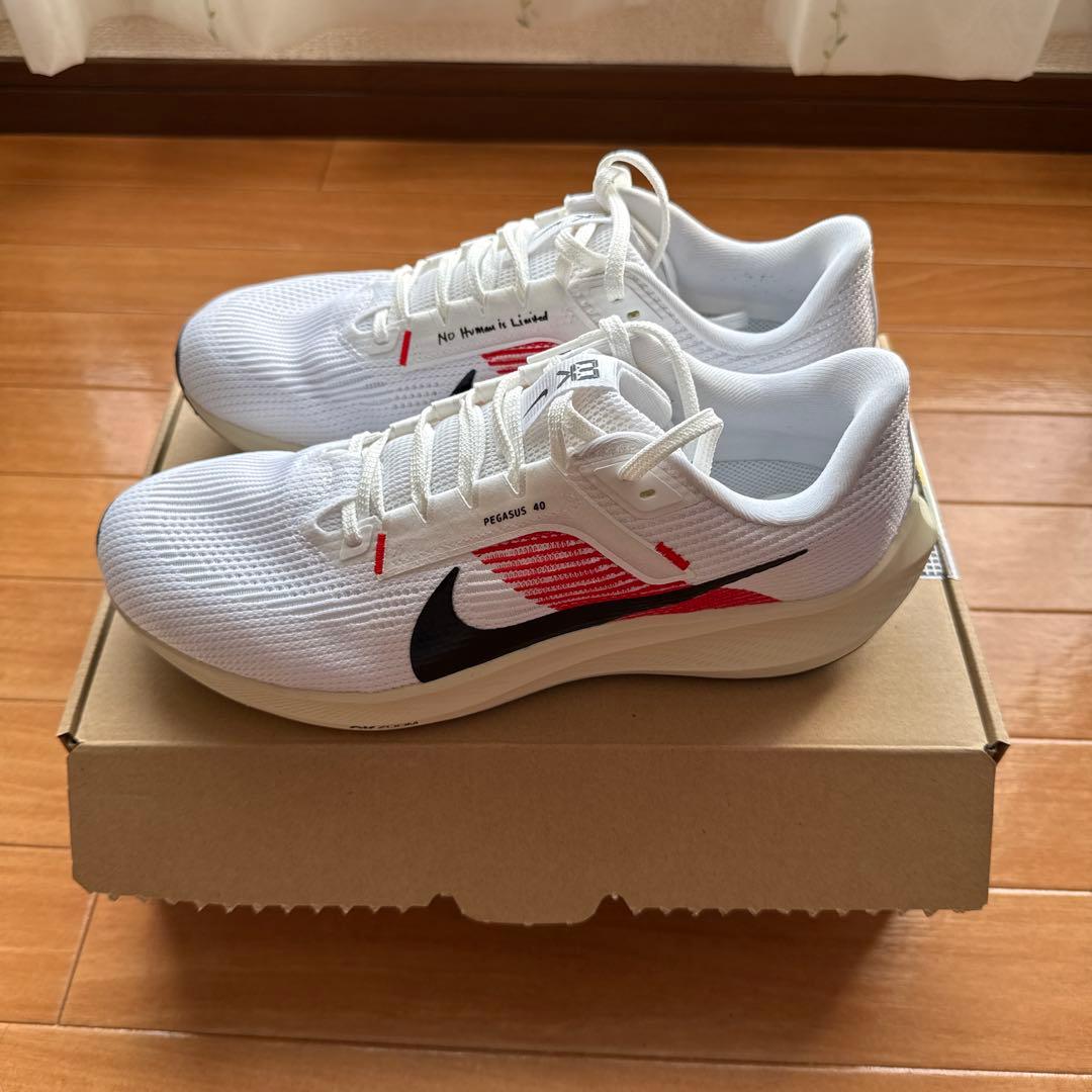 Nike Pegasus ペガサス40 EK 28.0cm