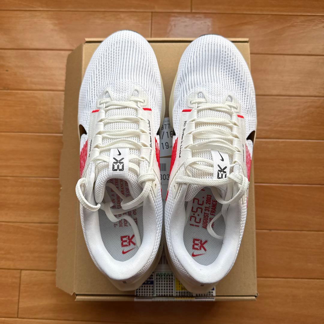 Nike Pegasus ペガサス40 EK 28.0cm
