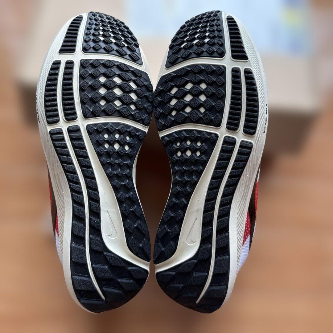 Nike Pegasus ペガサス40 EK 28.0cm