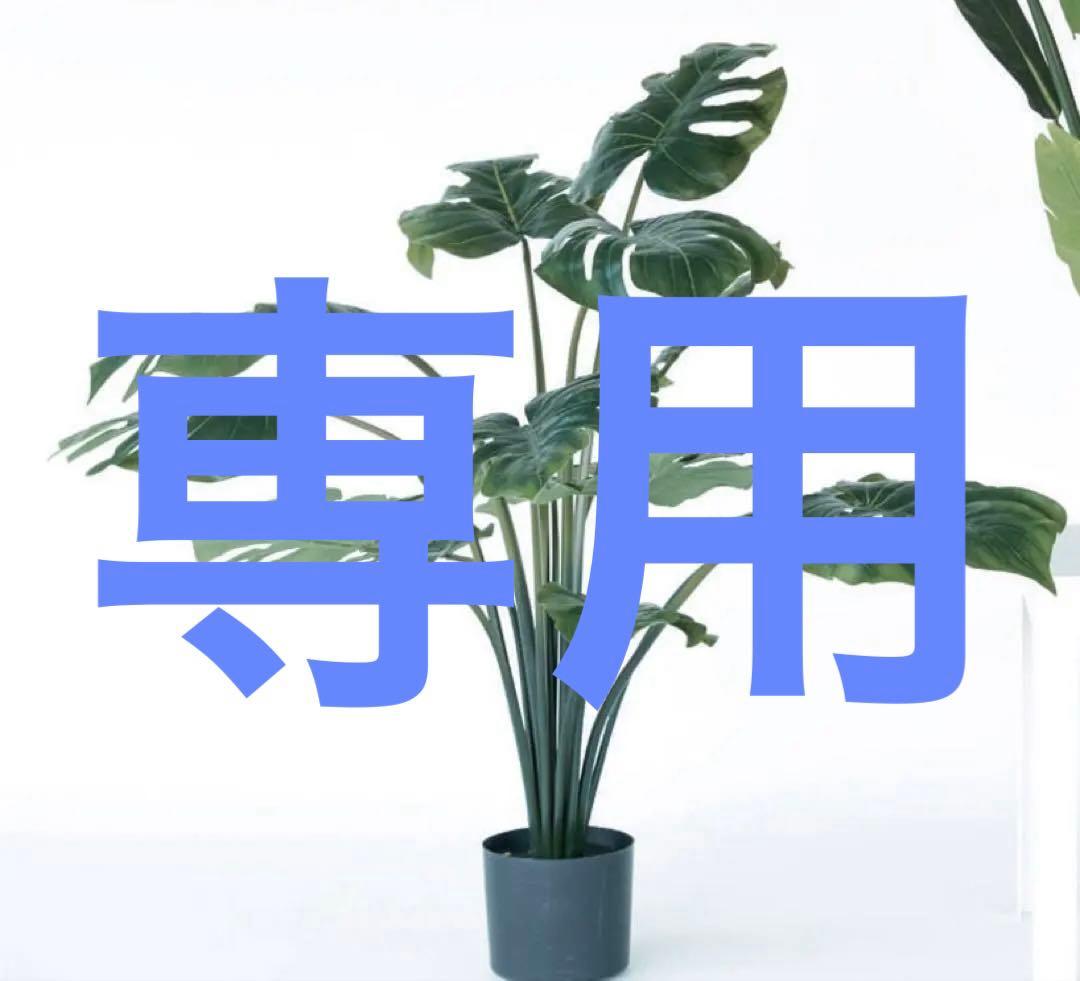 モンステラ　フェイクグリーン