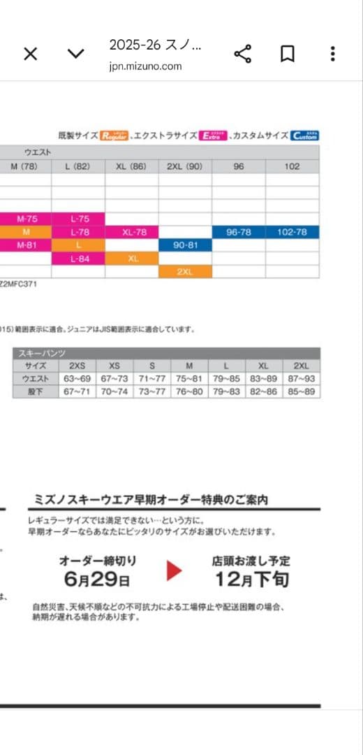 Mizuno スキーウェア Z2MF32108 グレー